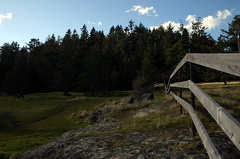 Fence Line