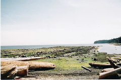 Campbell Point