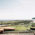 Campbell Point
