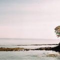 Georgina Point