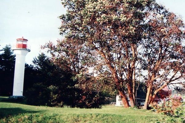 lighthouse.jpg