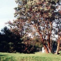 Lighhouse
