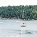 Sailboats