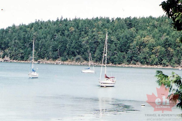 Sailboats