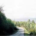 Bodega Beach Drive
