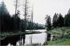 Creek