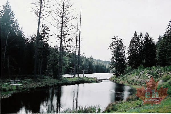 Creek