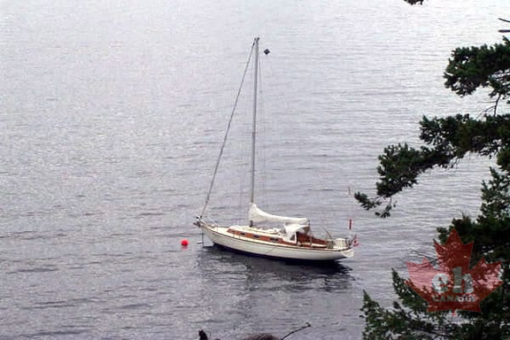 Sailboat