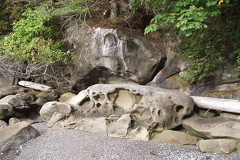 Rocky Shoreline