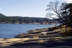 Rocky Coastline