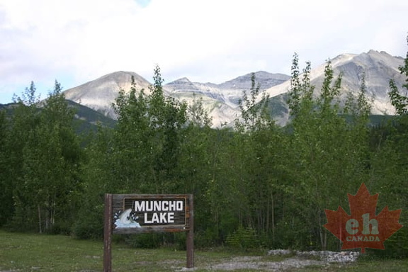Welcome Sign
