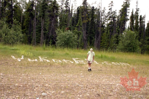 Rock Gardens (1970 visits) Artwork is complete on Alaska Highway Rock Gardens