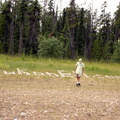 Rock Gardens (1957 visits) Artwork is complete on Alaska Highway Rock Gardens