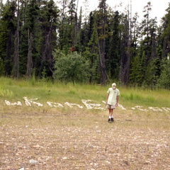 Rock Gardens (1881 visits) Artwork is complete on Alaska Highway Rock Gardens