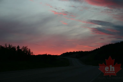 Purple Sunset