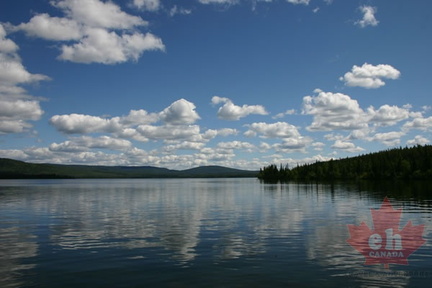 Reflections