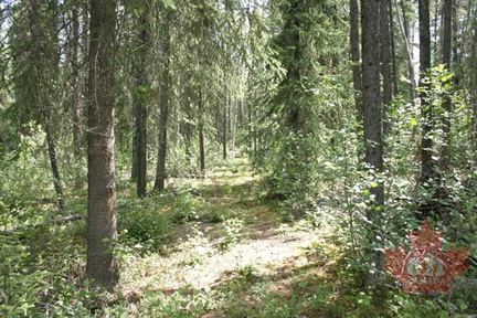 Hiking
