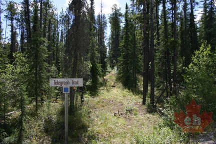 Telegraph Trail