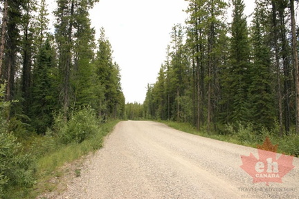 Gravel Road