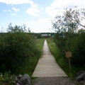 Boardwalk Trail