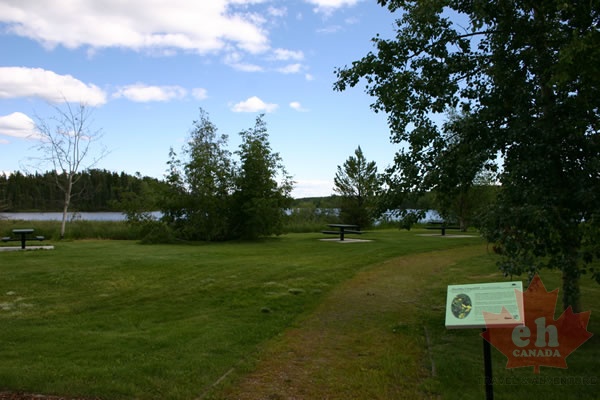 Hiking Trail