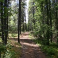 trail 002