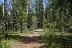 trail 005