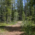 trail 005