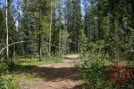 trail 005