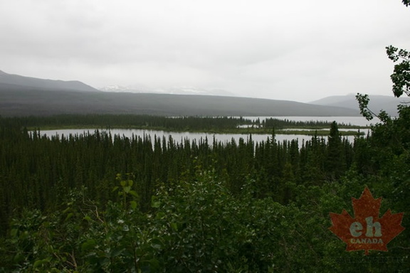 Wetland Views