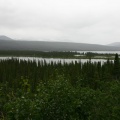 Wetland Views