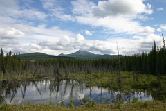 wetlands.jpg
