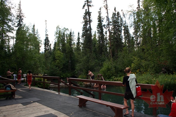 Alpha Pool