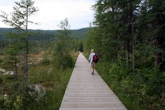 Boardwalk Trail