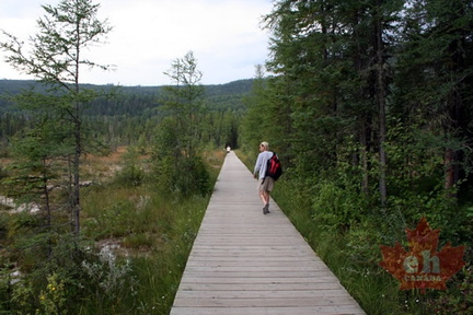Boardwalk Trail