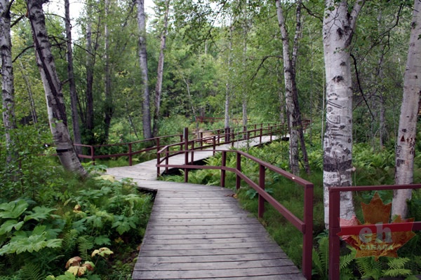 Boardwalk Trail
