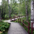 Boardwalk Trail