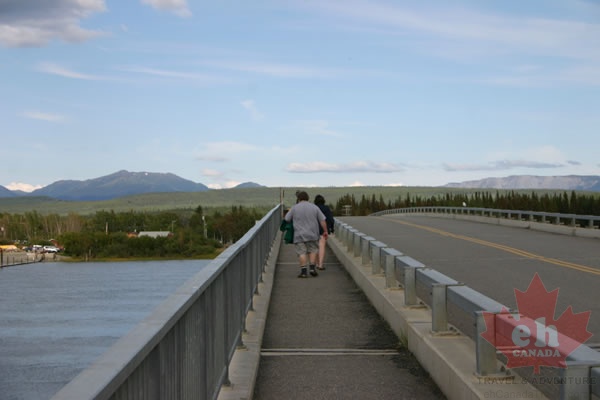 Walking (2741 visits) Crossing 6 Mile Bridge in Tagish Walking