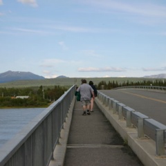 Walking (2741 visits) Crossing 6 Mile Bridge in Tagish Walking