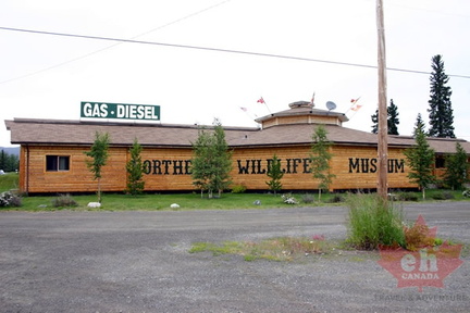 Northern Wildlife Museum