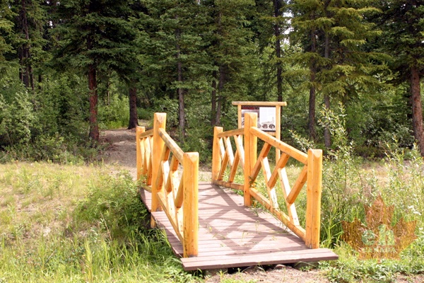 Pathway