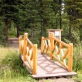Pathway