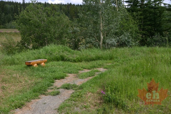 Hiking Trail