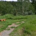 Hiking Trail