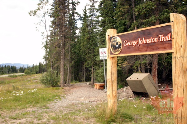 trail6703.jpg