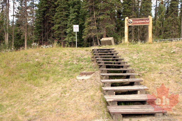 Steps (2004 visits) George Johnstone Trail Steps