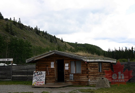 Dog Sled Shack