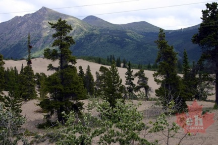 Sand Dunes