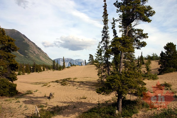 sand-dunes003.jpg