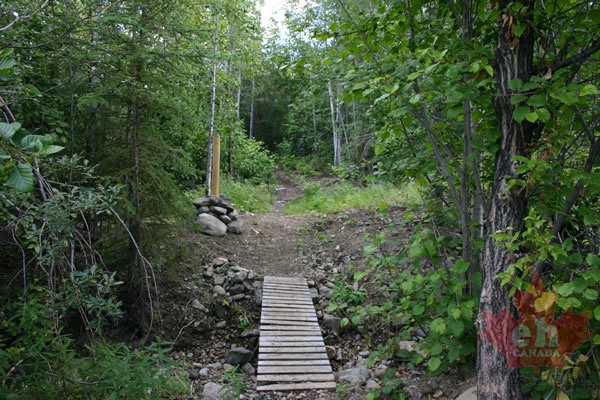 mountain-bike-trails 001.jpg